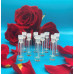 Fragrance Sample Kit 